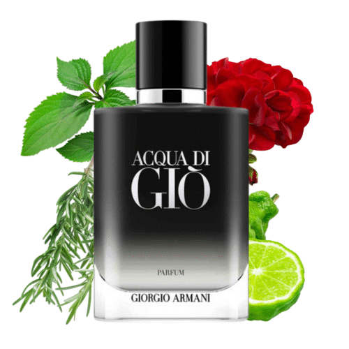 ACQUA DI GIÒ PARFUM