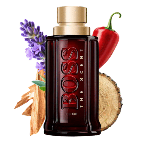 BOSS THE SCENT ELIXIR