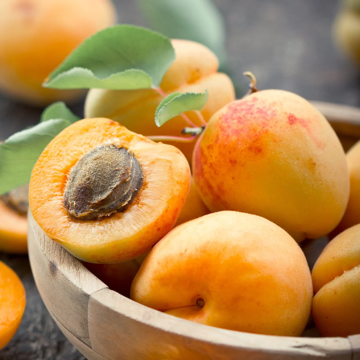 Apricot