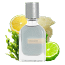 ORTO PARISI MEGAMARE