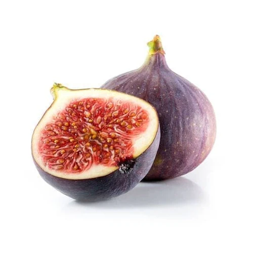Fig