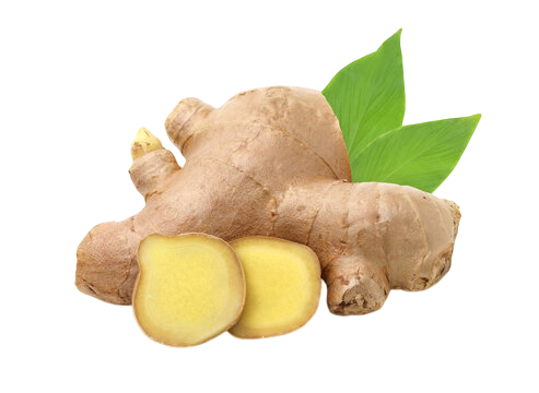 Ginger
