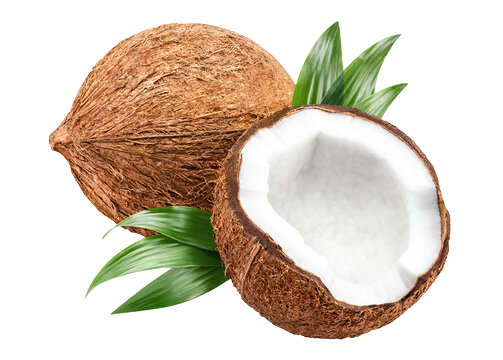 Coconut