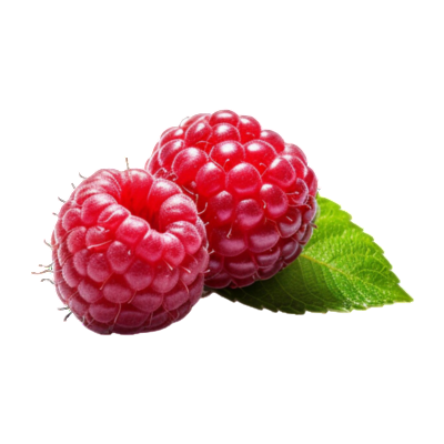 Raspberry
