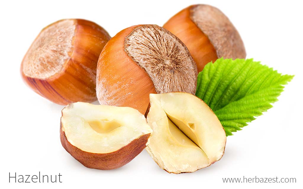 Hazelnut